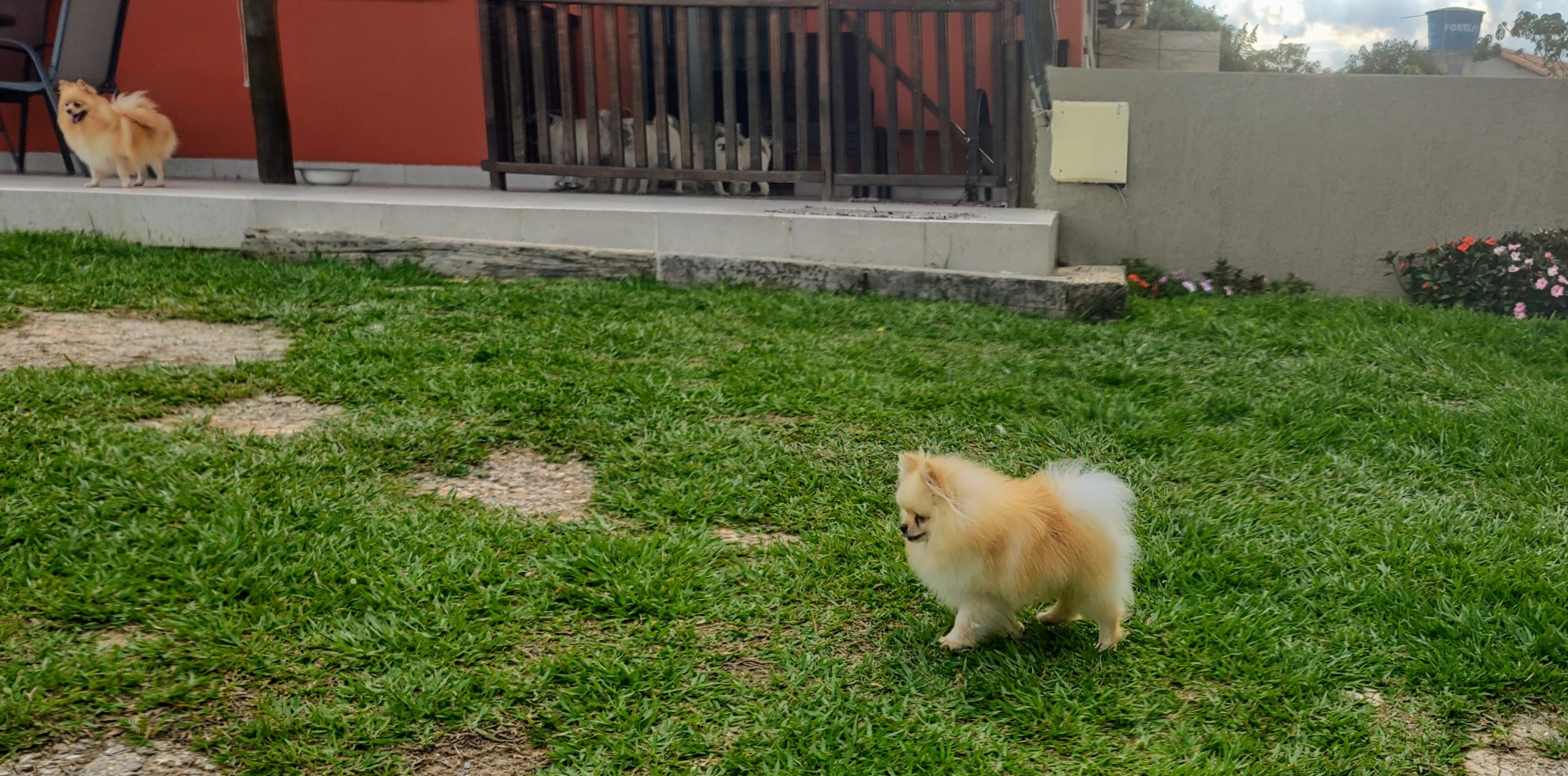 IMG_20211130_165431303_HDR