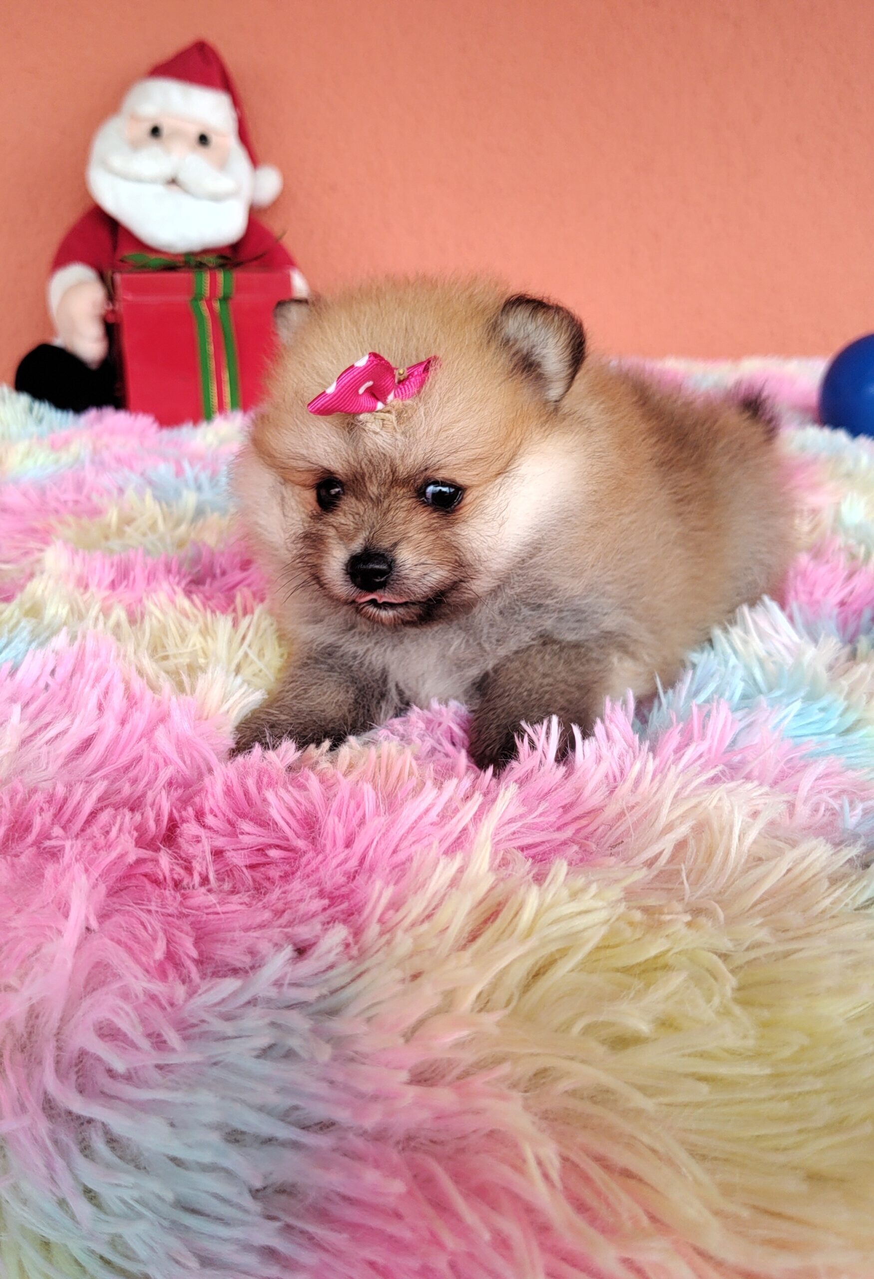 IMG_20221221_133515842~2