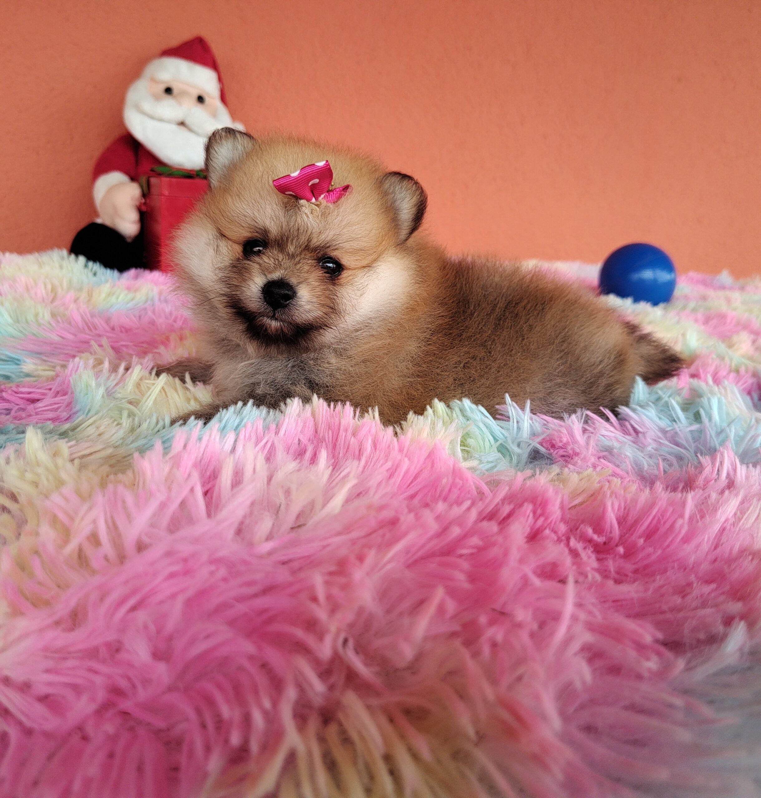 IMG_20221221_133520749~2