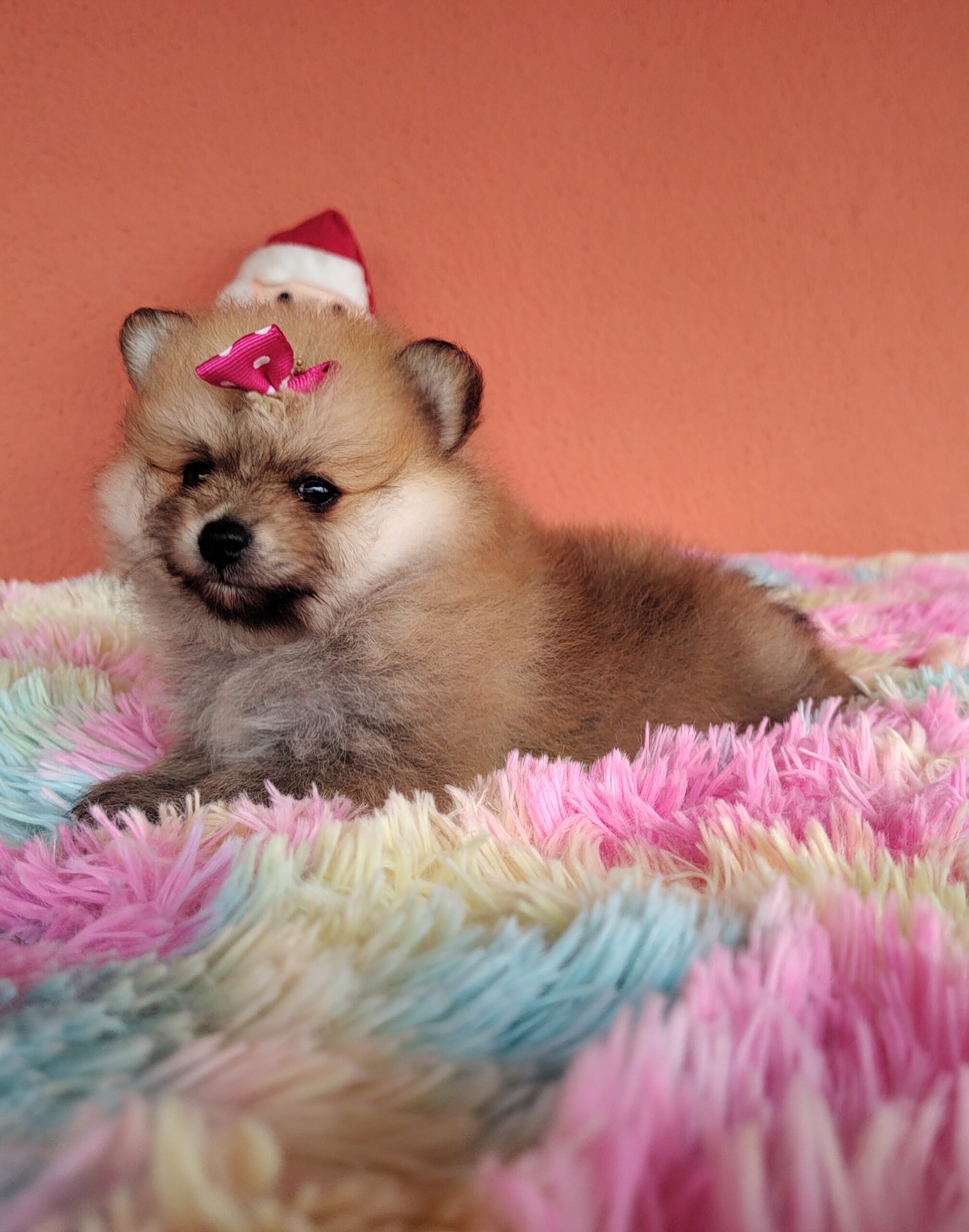 IMG_20221221_133558451~2