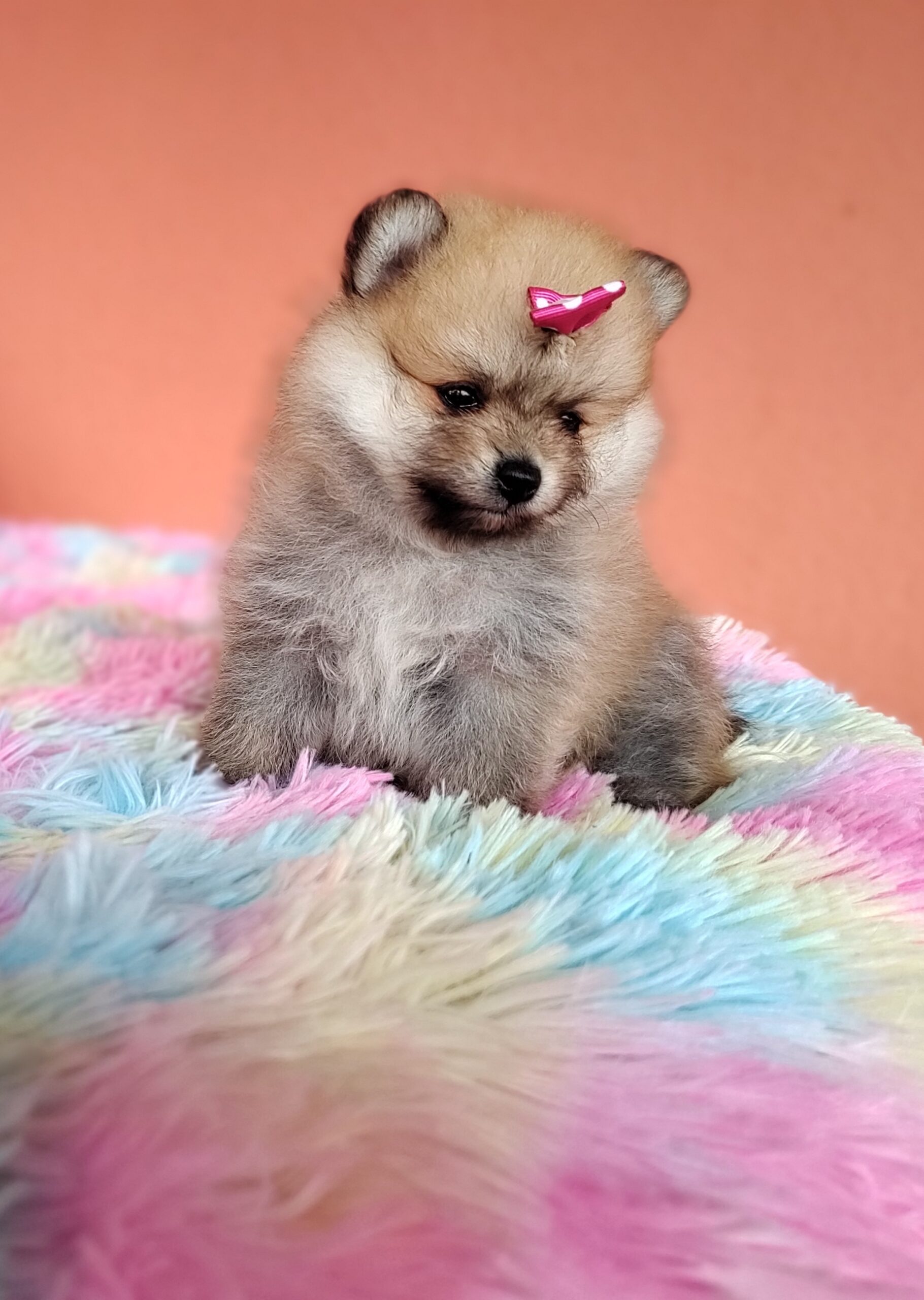 IMG_20221221_133640427_MF_PORTRAIT~2