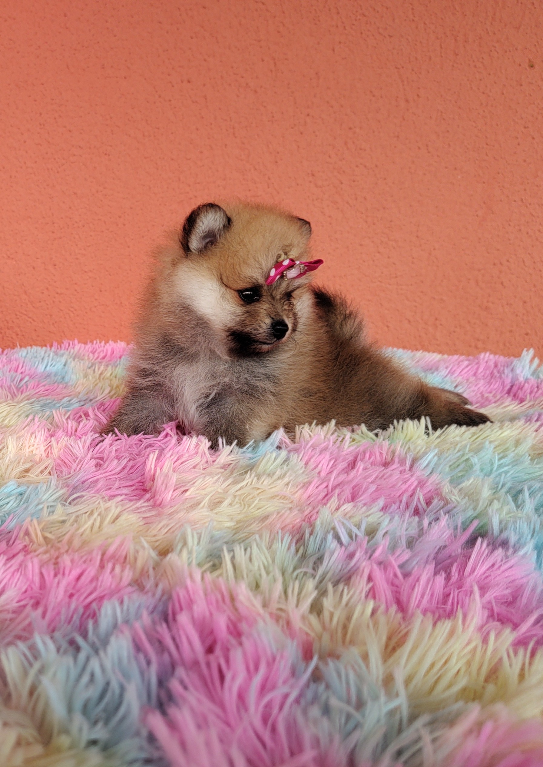 IMG_20221221_133841196~2