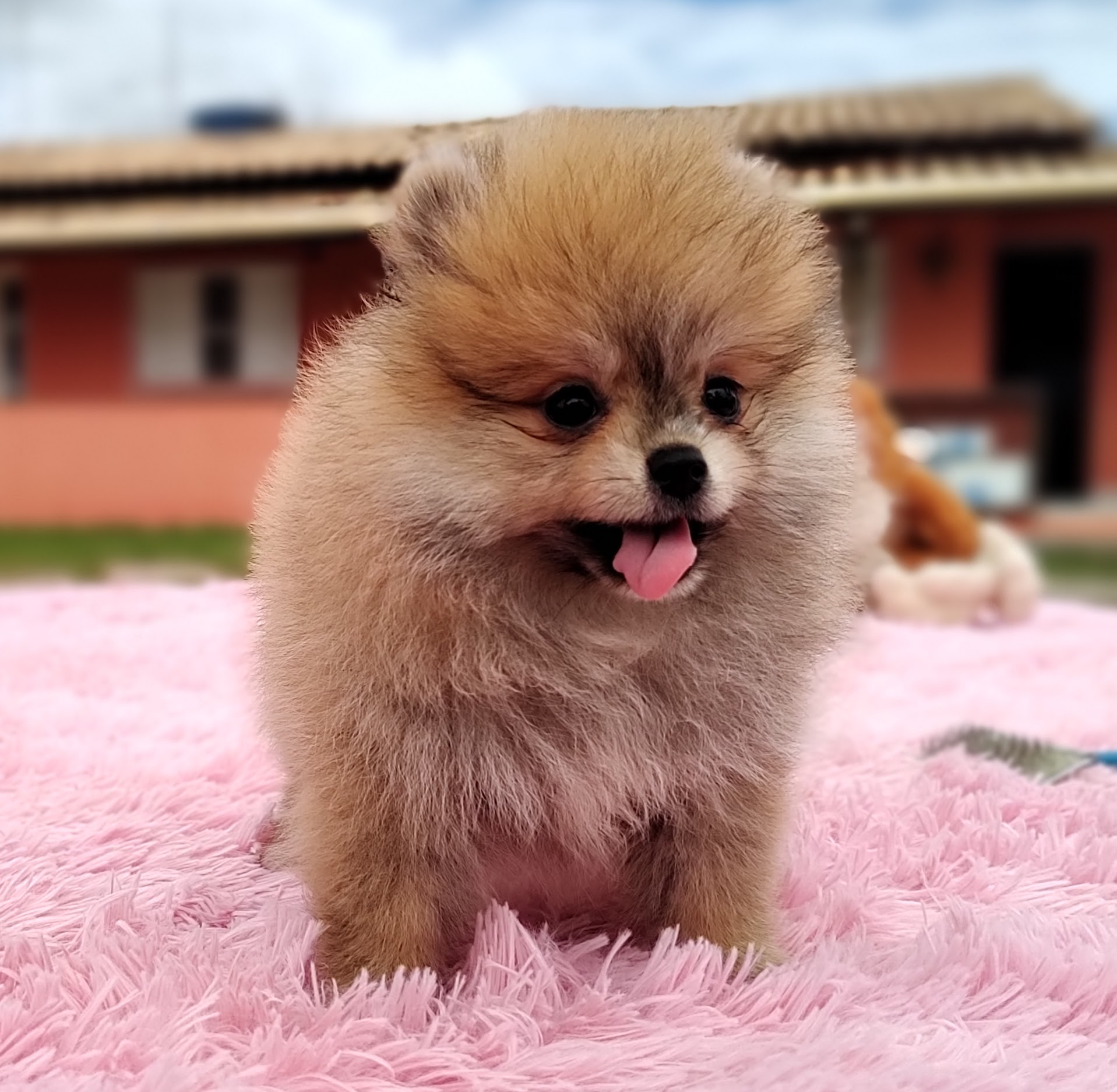 IMG_20230309_103517967_MF_PORTRAIT