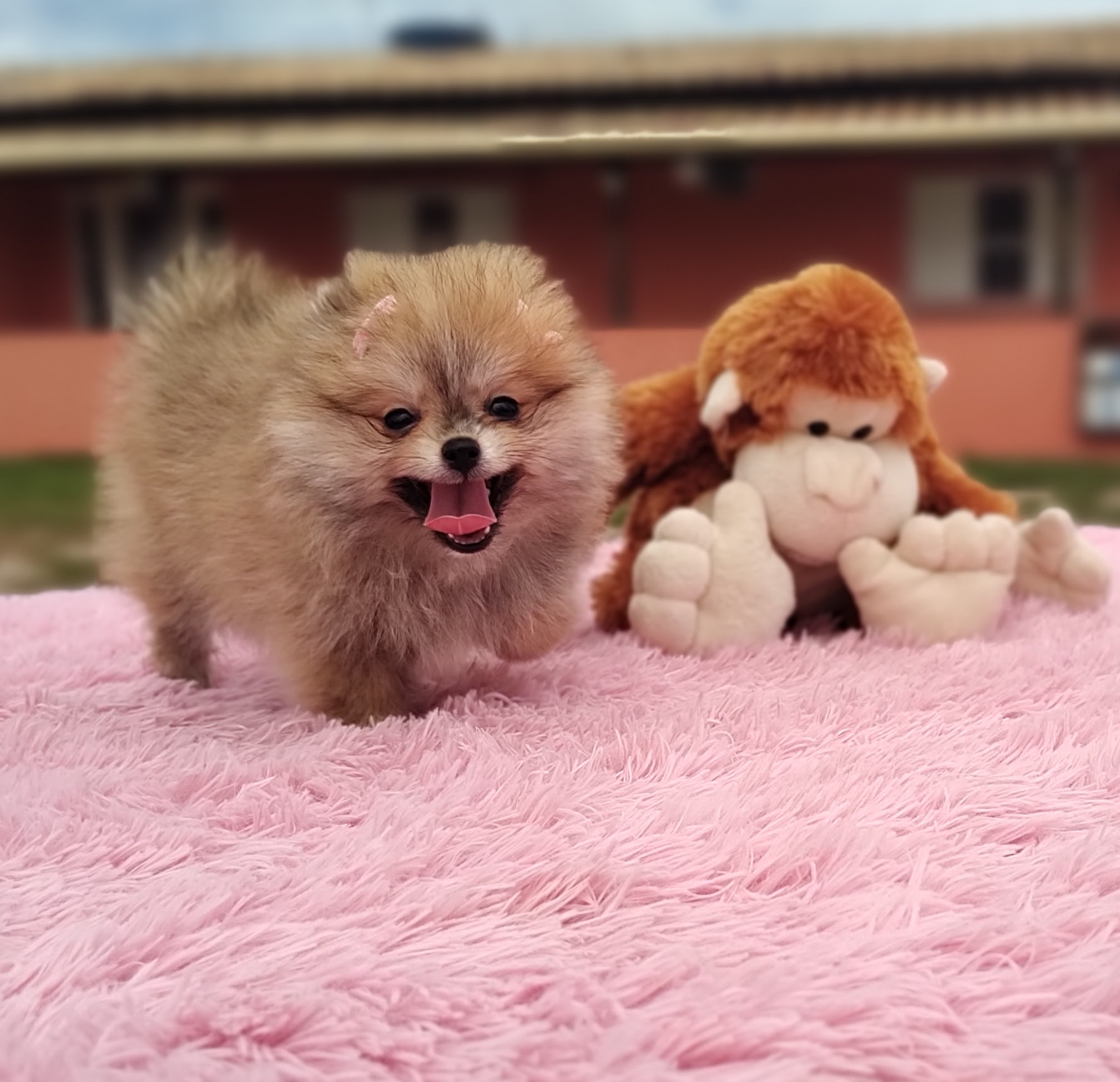 IMG_20230309_104208813_MF_PORTRAIT