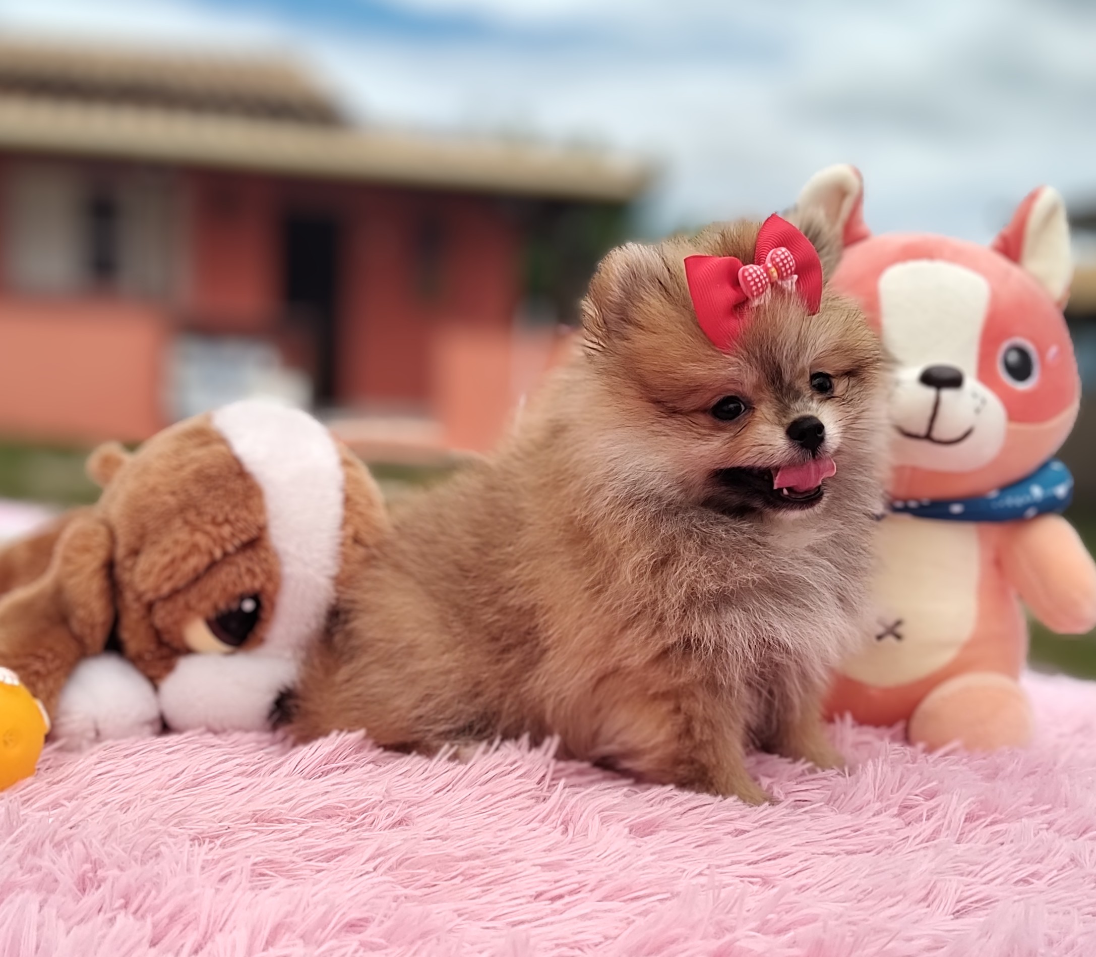 IMG_20230309_104759320_MF_PORTRAIT~3