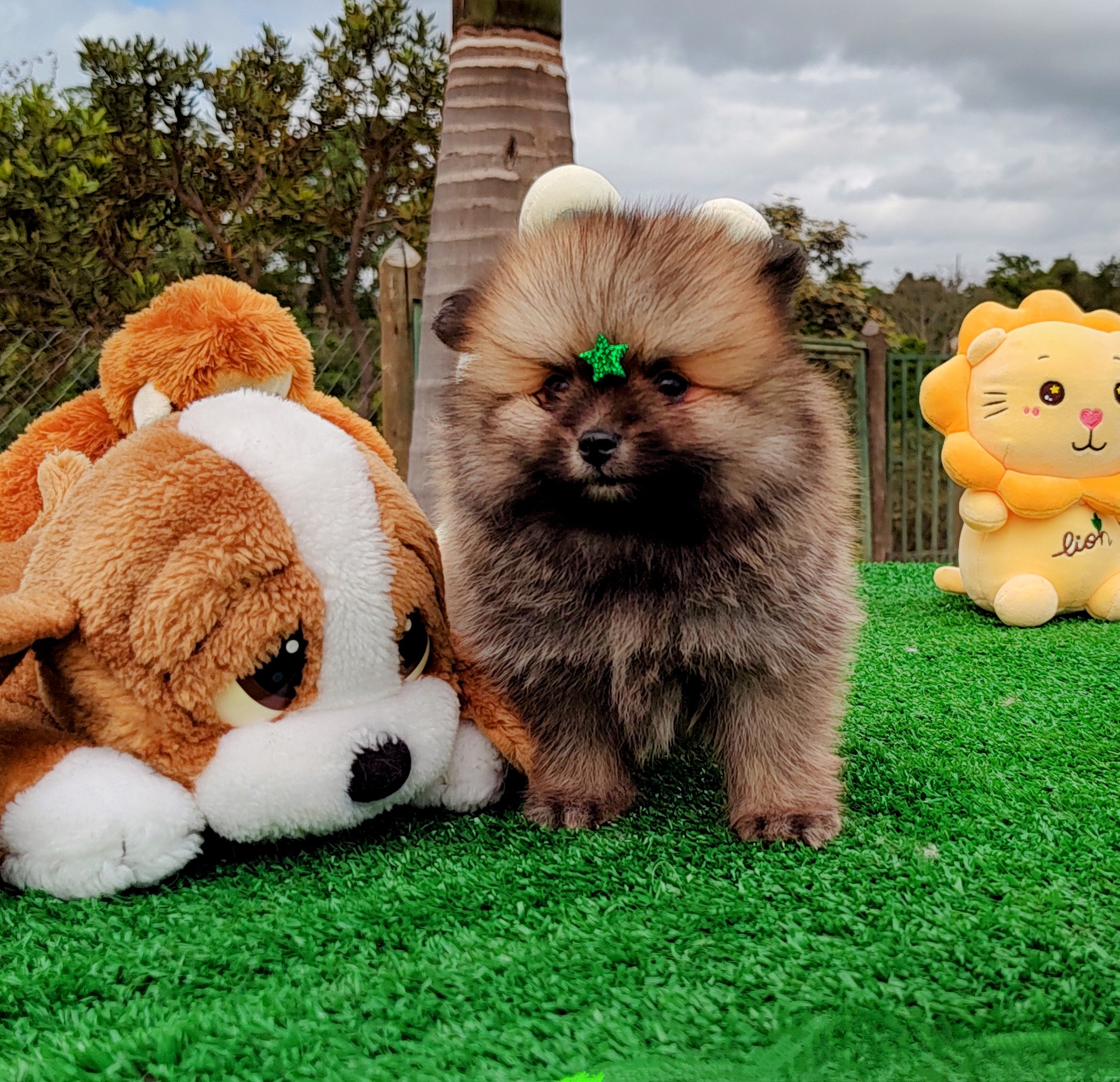 IMG_20230524_121140153~2