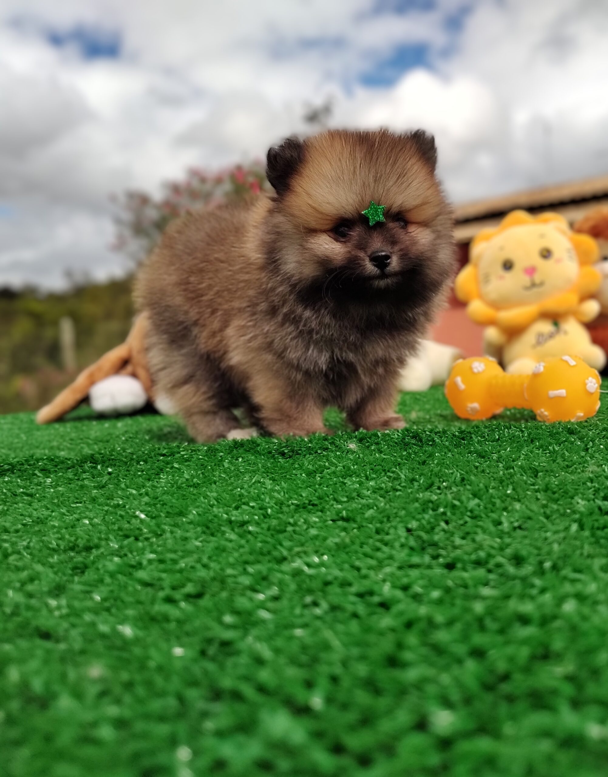 IMG_20230524_121447965_MF_PORTRAIT~2