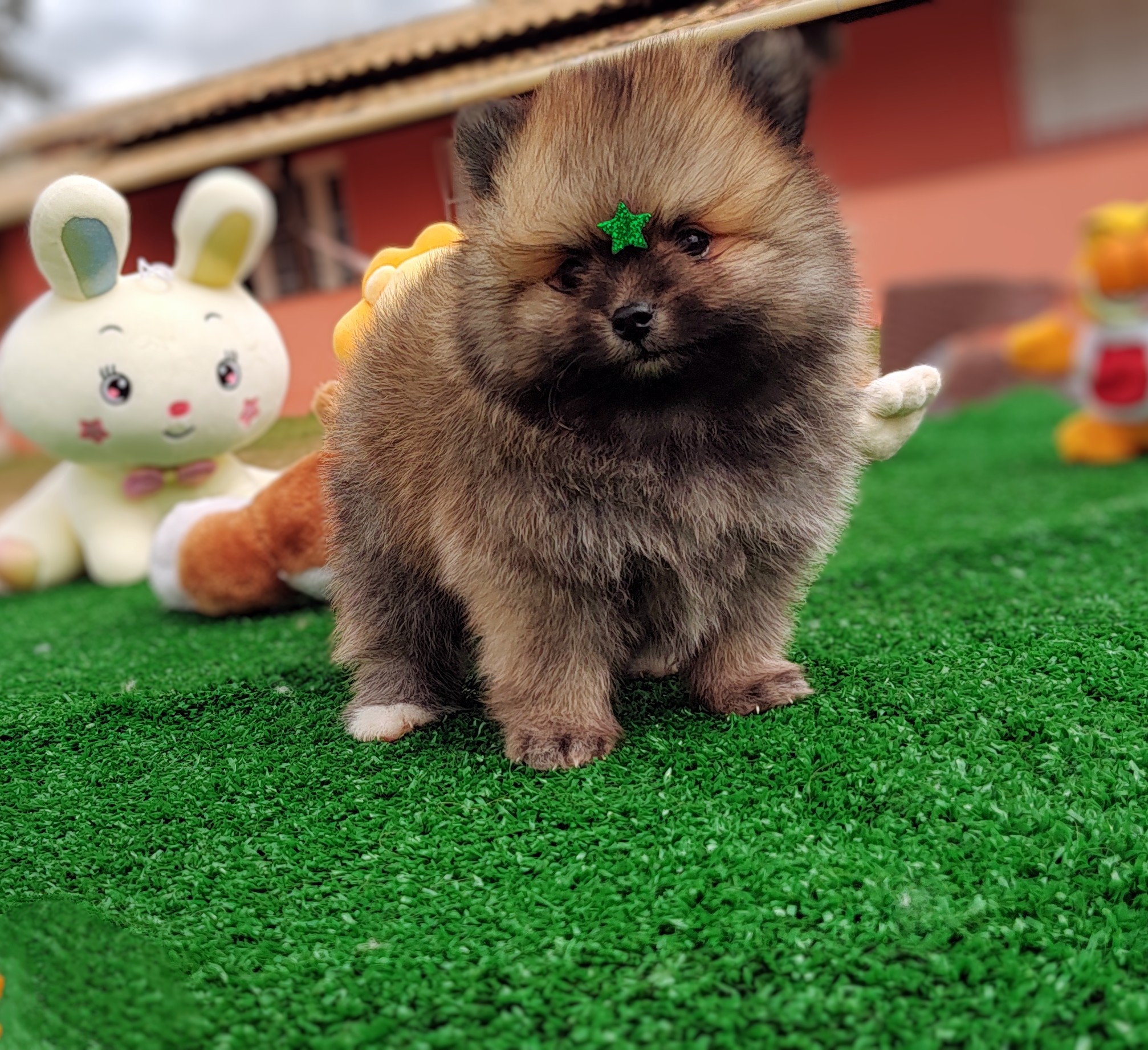 IMG_20230524_121722100~2