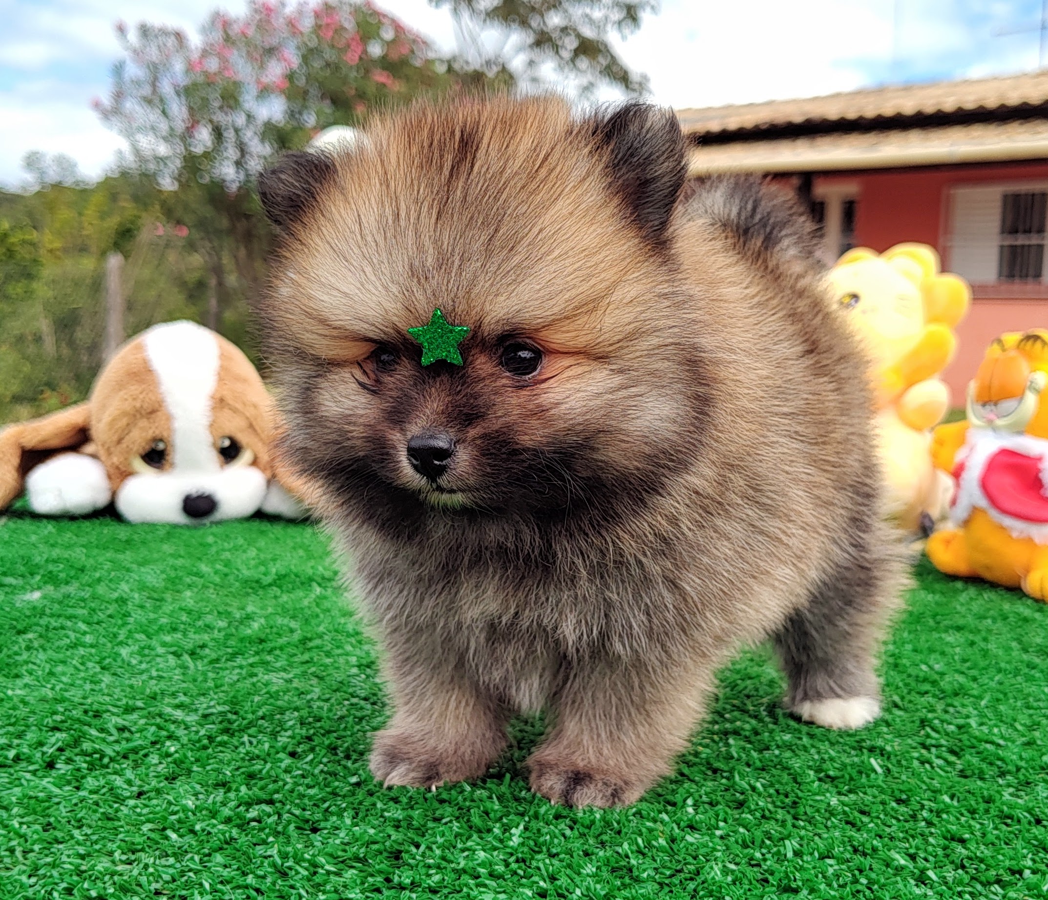 IMG_20230524_121957824