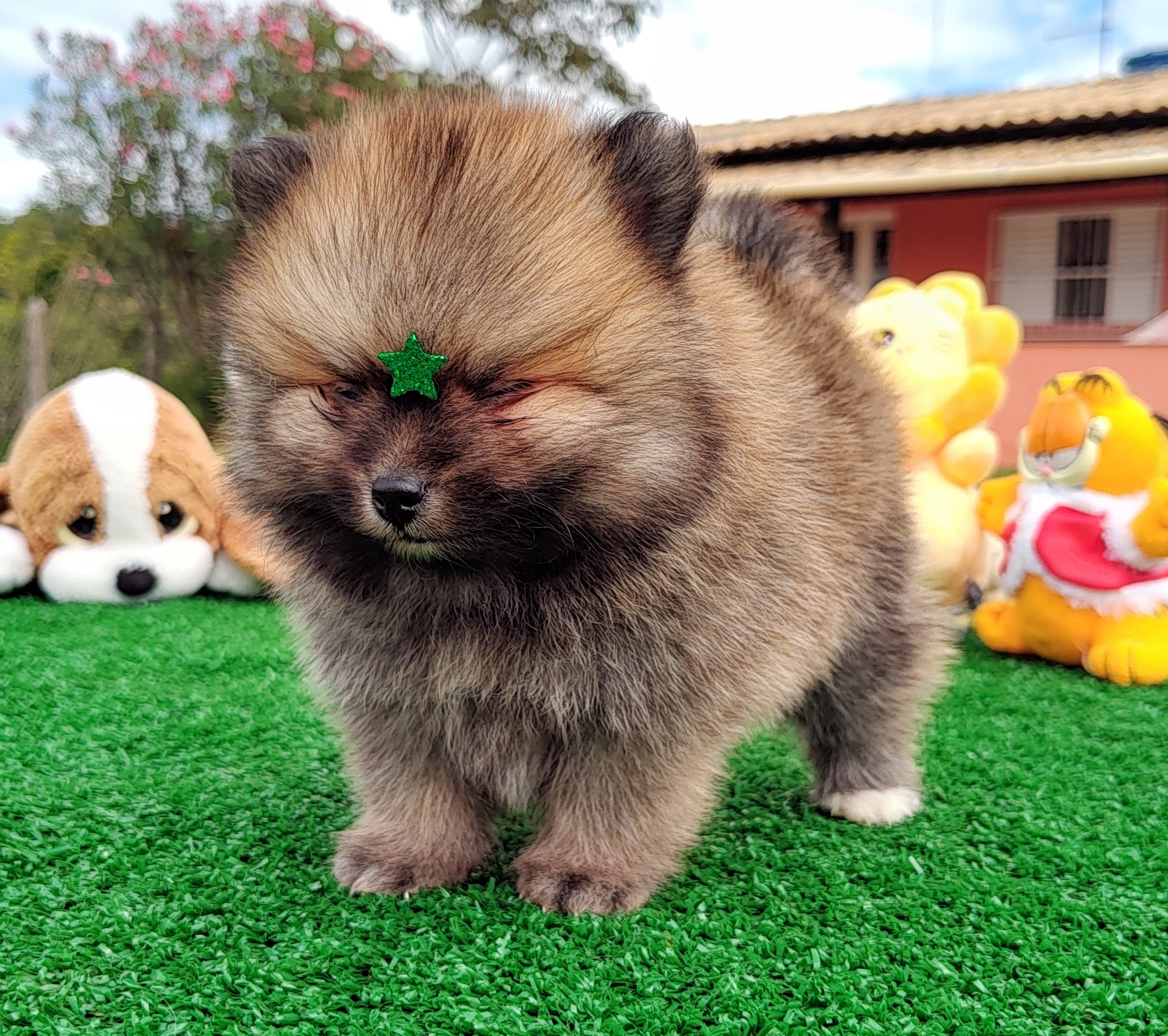 IMG_20230524_121958627