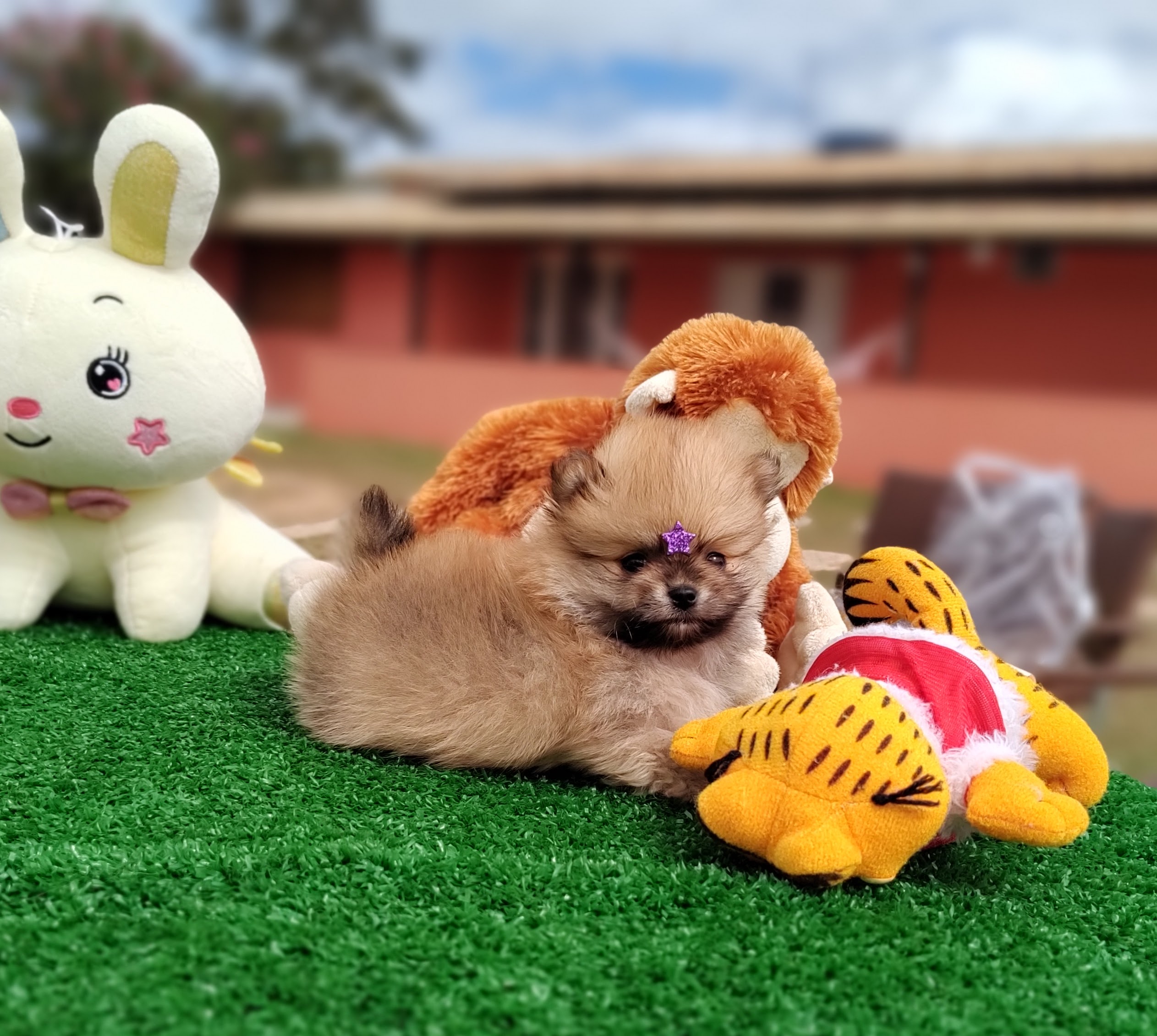 IMG_20230524_122552383_MF_PORTRAIT