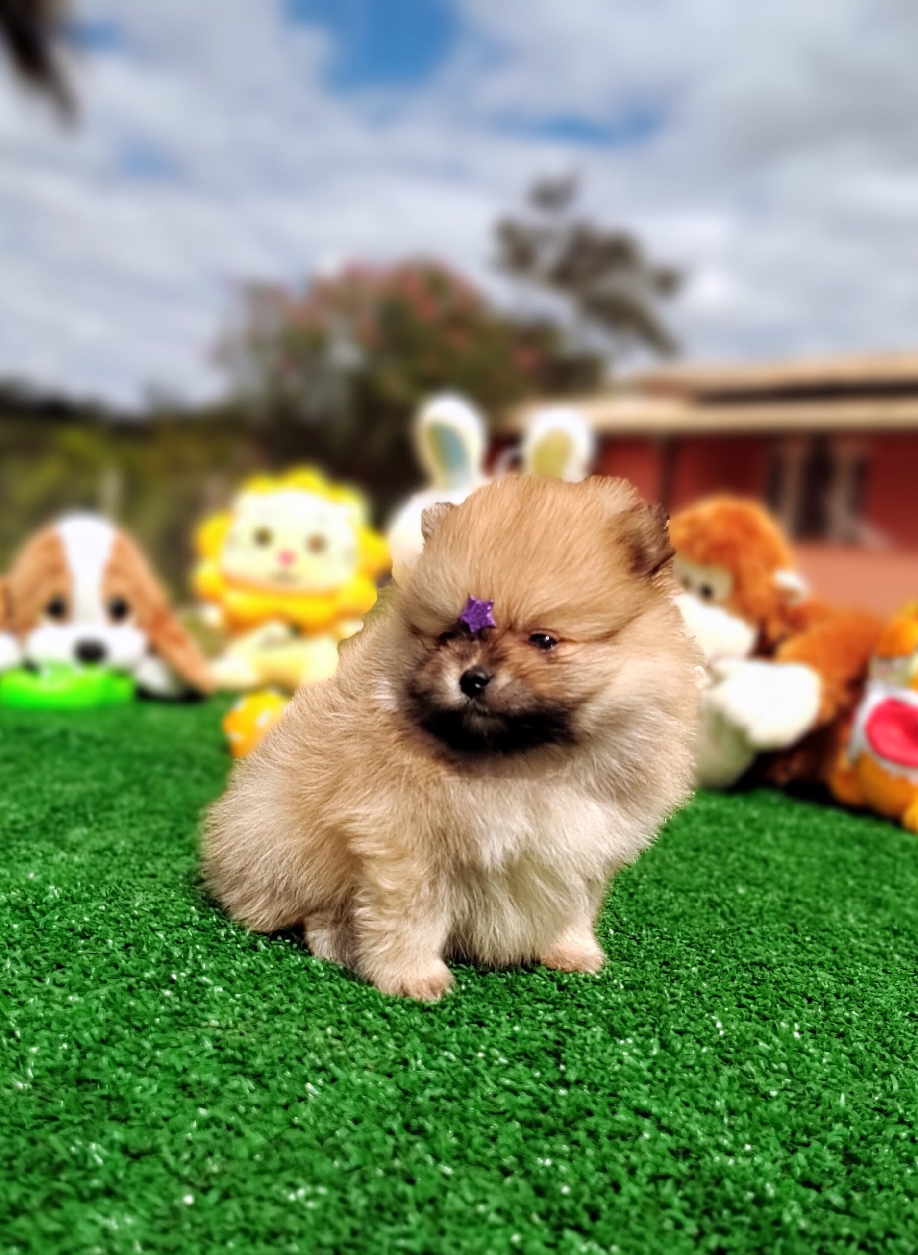 IMG_20230524_123132037_MF_PORTRAIT