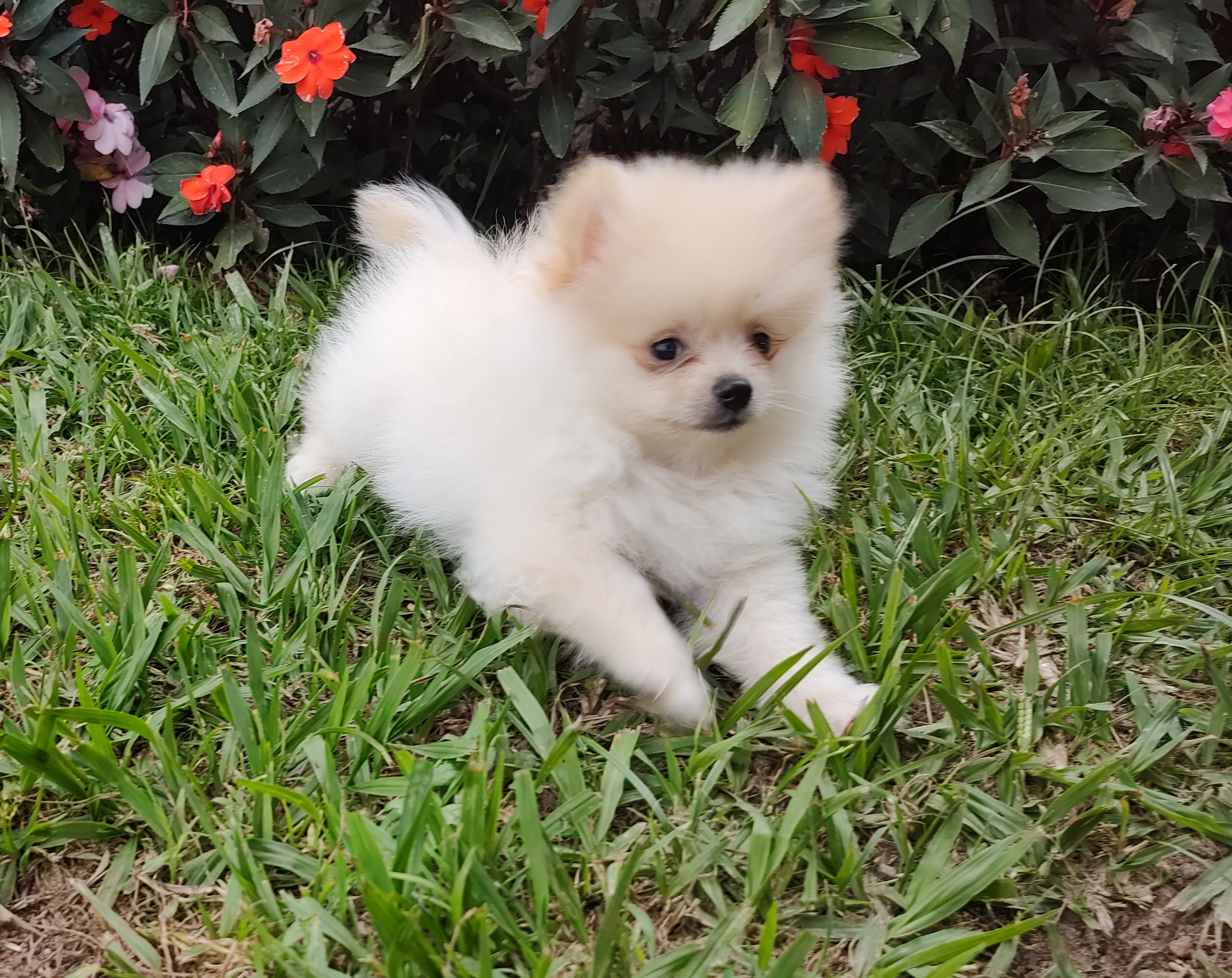 IMG_20220321_161324228