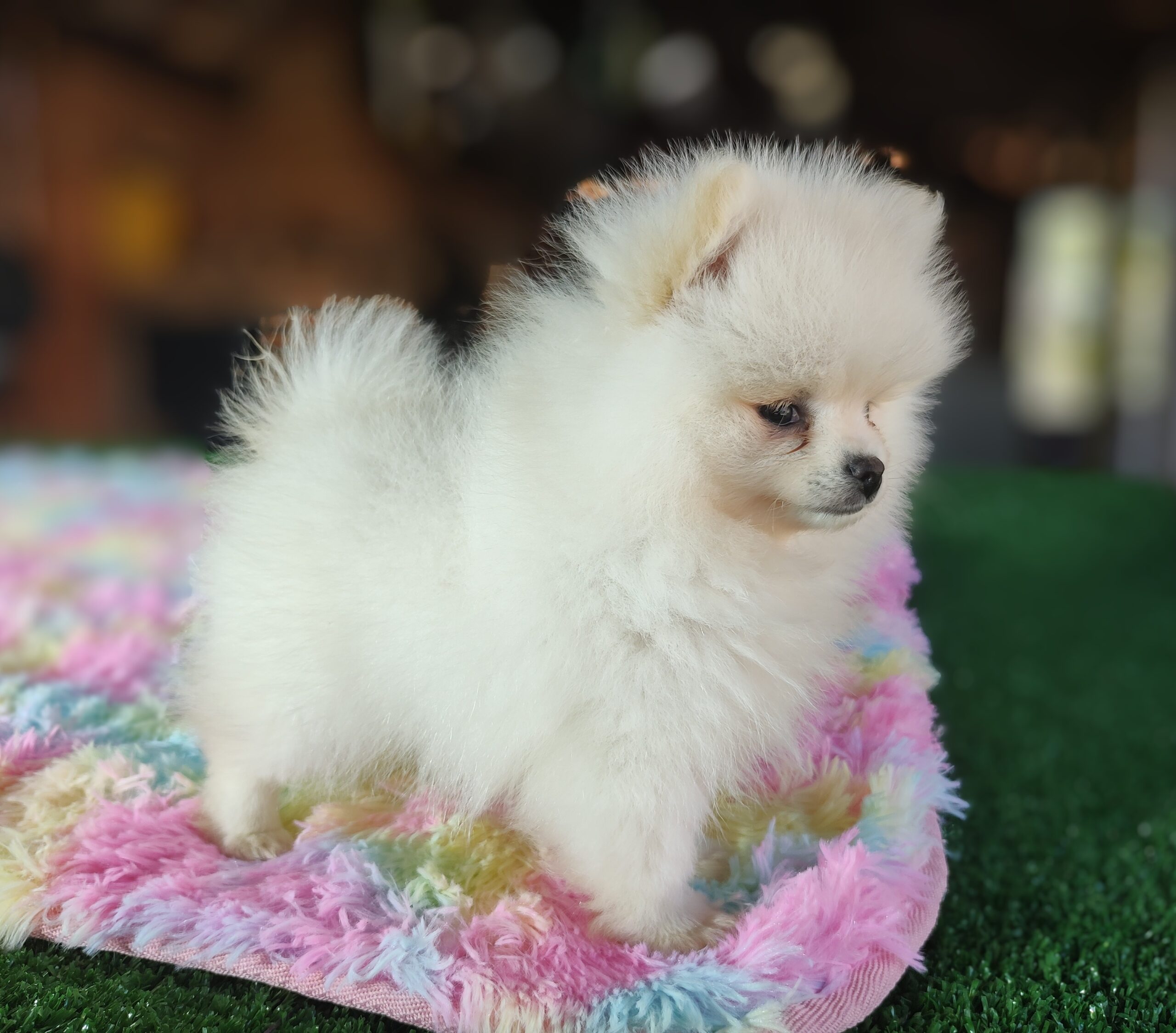 IMG_20220628_105614531~2