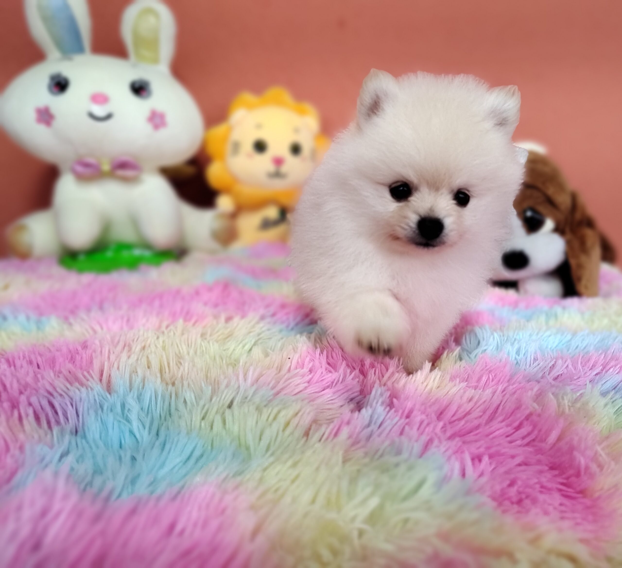 IMG_20230828_110414928_MF_PORTRAIT