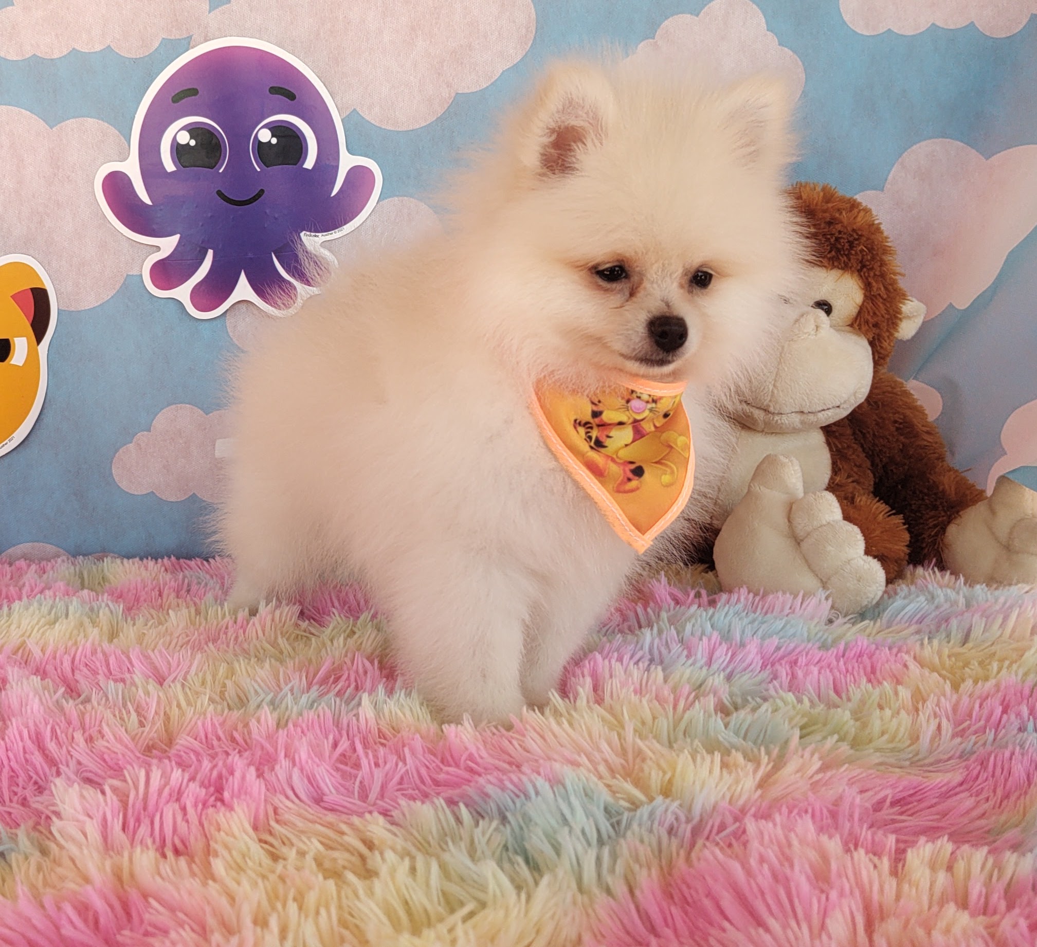 IMG_20230920_124043926