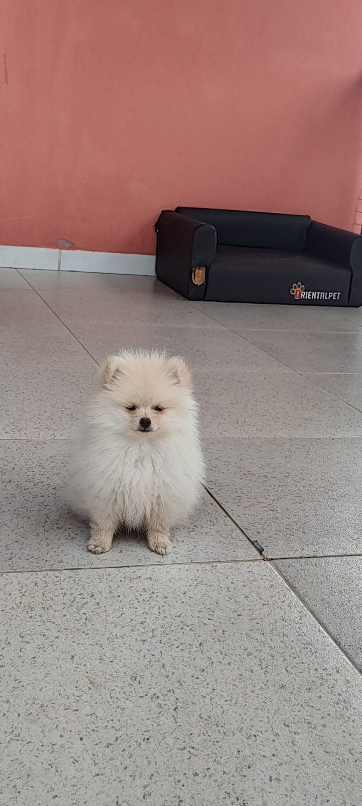 IMG_20231104_151637335_HDR