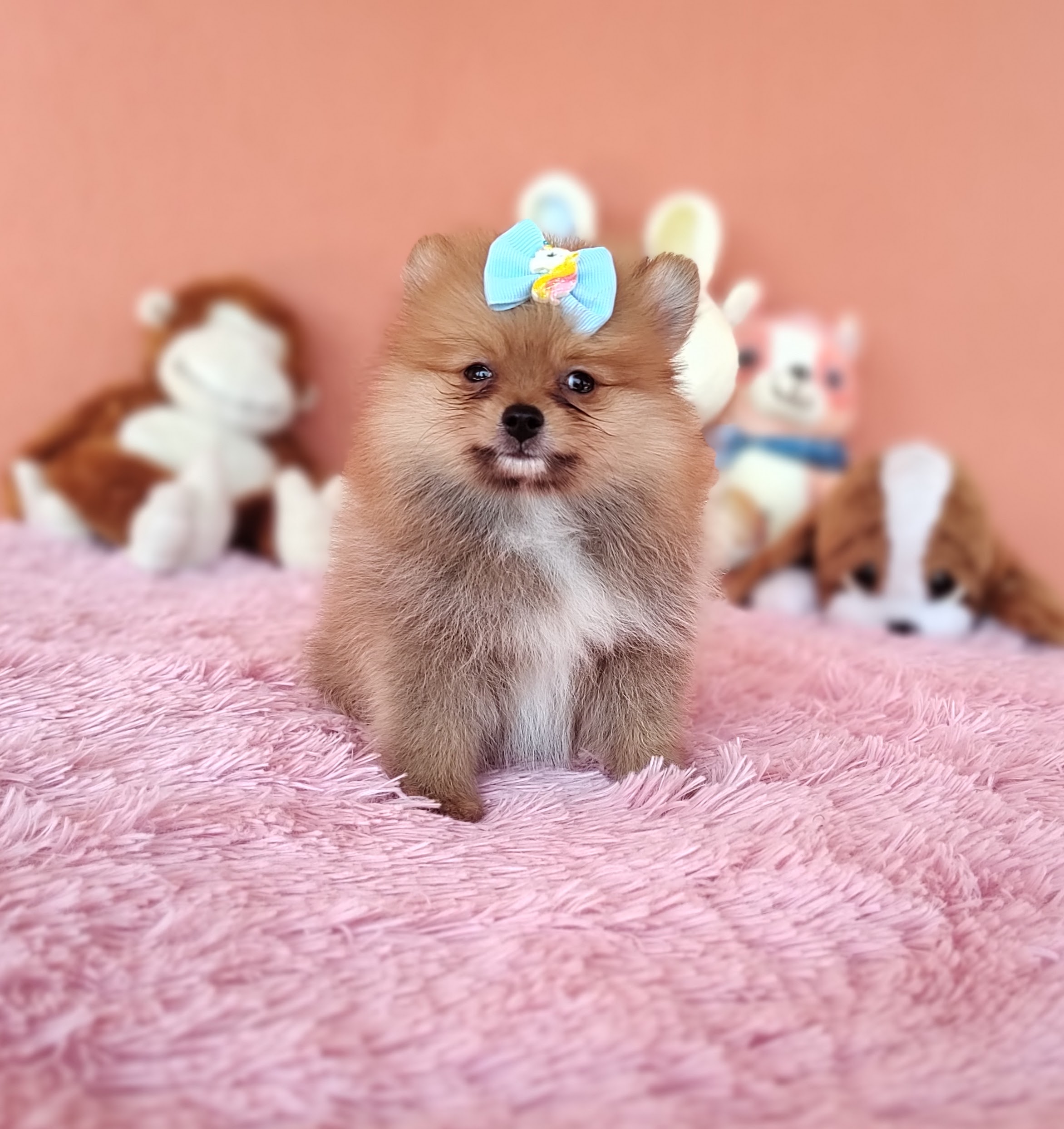 IMG_20231116_085404996_MF_PORTRAIT