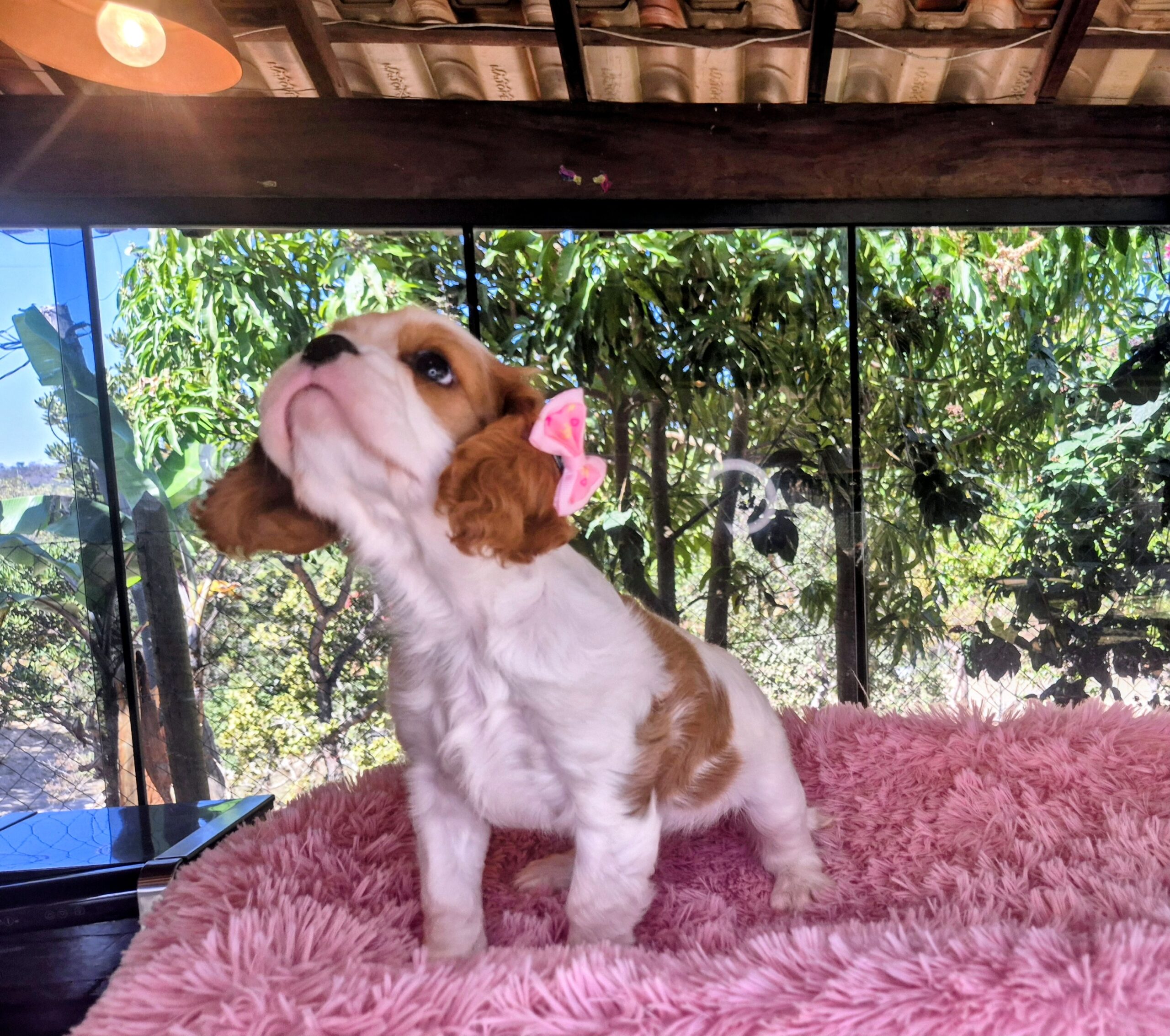 20250731_131222(0)~2