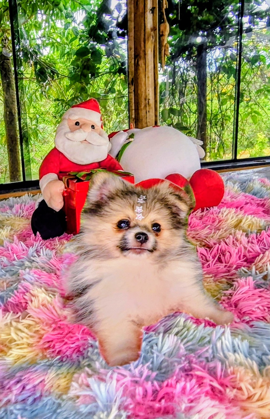 20251209_123916(0)~3