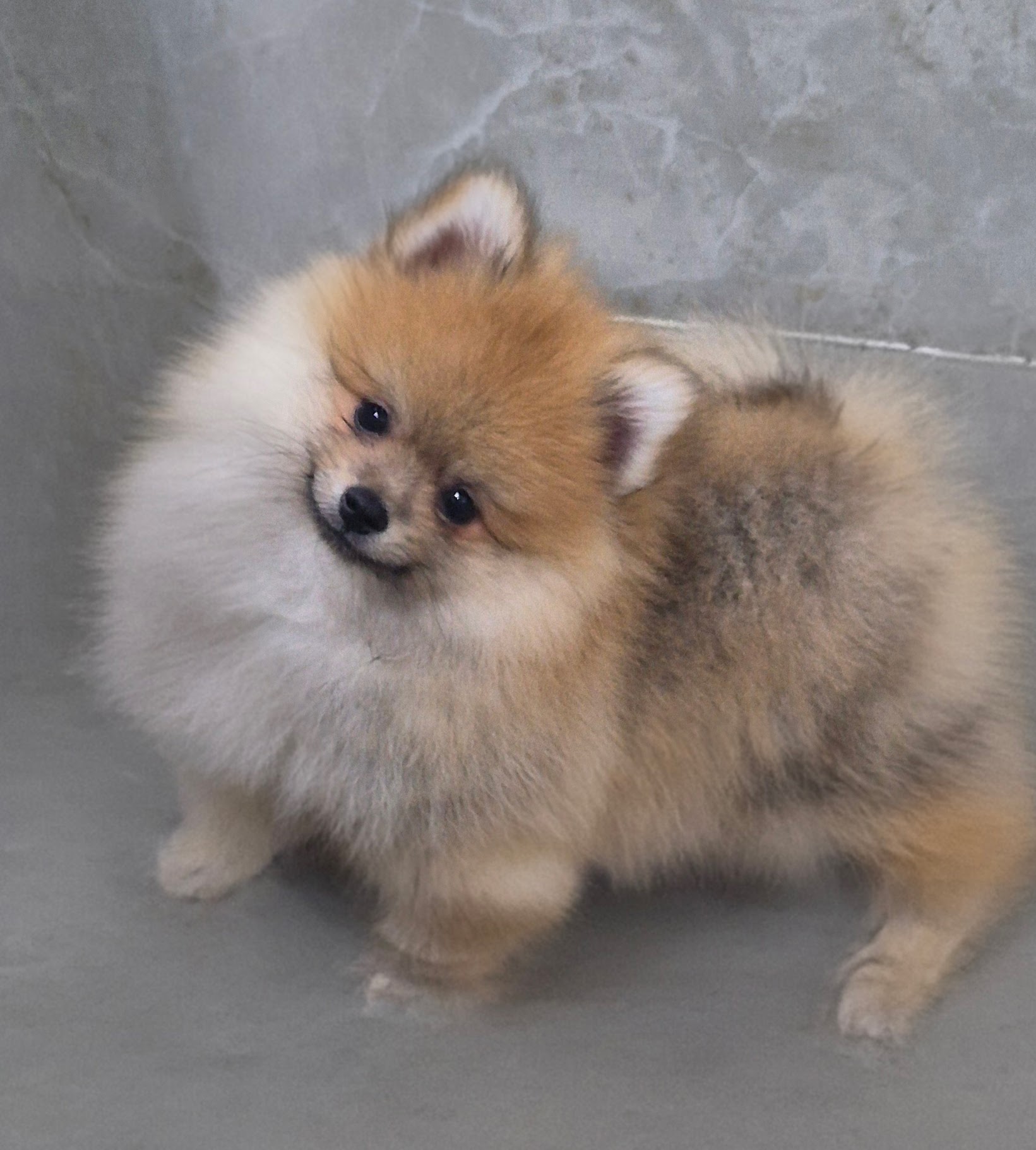 20260417_145934(1)(1)(1)